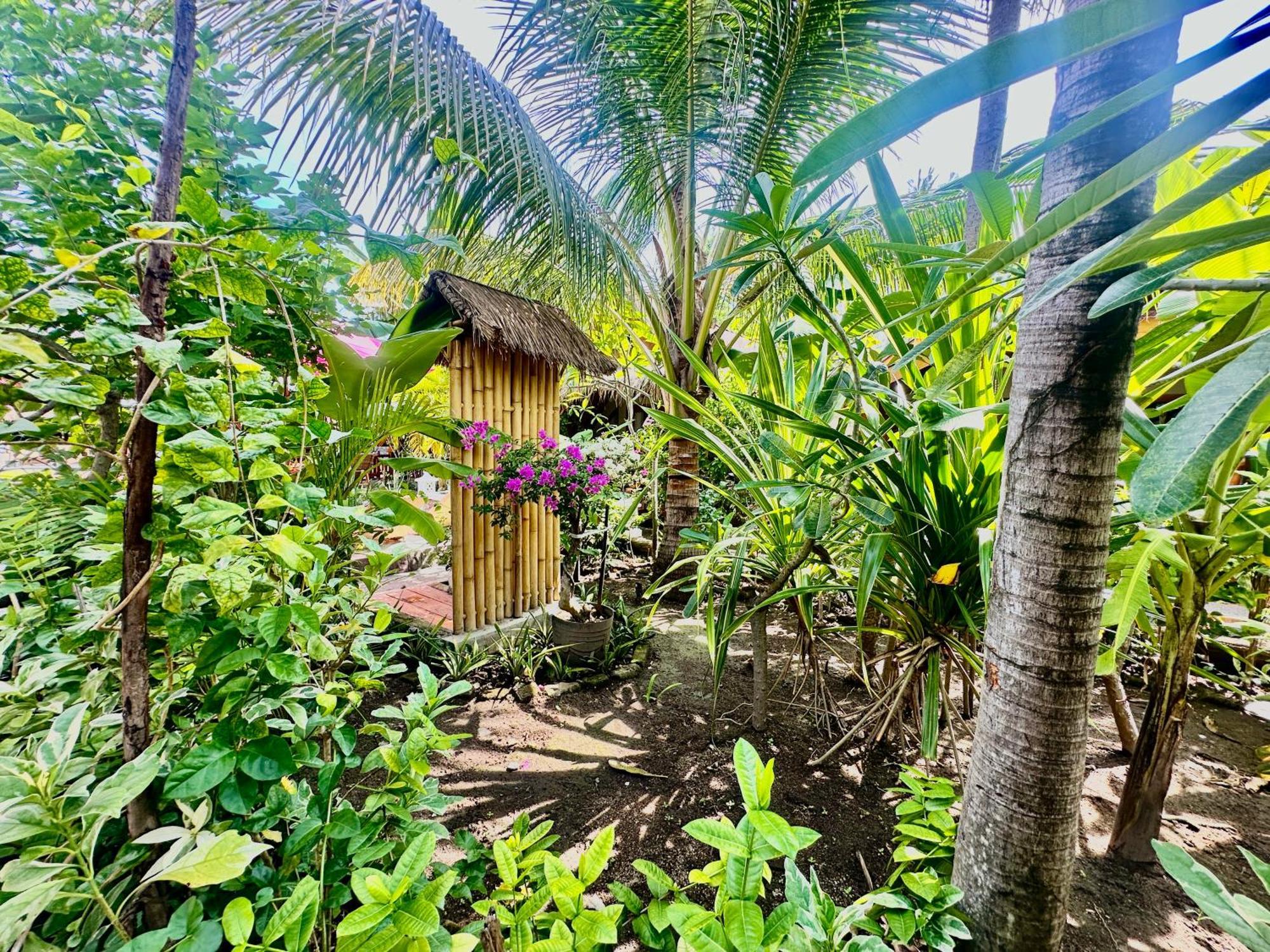 Sunny Rose Bungalows Gili Air - Adults Only Eksteriør billede